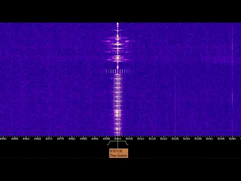 WWV Time Station 1 Hour Full Cycle - No Loop Radio ASMR