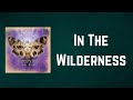 Mercury Rev - In The Wilderness (Lyrics)