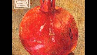 Wings Of Desire - Marketa Irglova