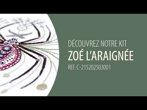 Voir la vidéo