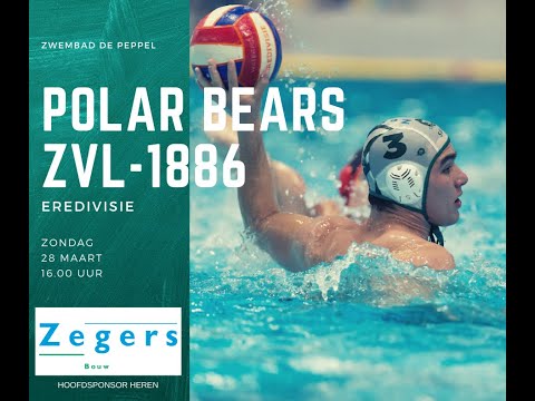 Heren Polar Bears - ZVL 1886