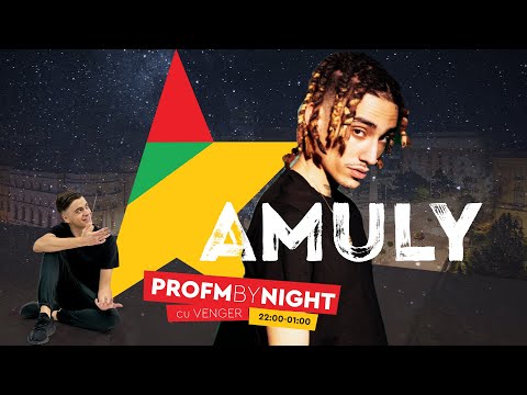Amuly: "Cand îți este rău, la familie te întorci..." #PROFMBYNIGHT cu VENGER