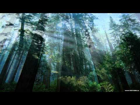RUA - Sound Of Silence (wood)