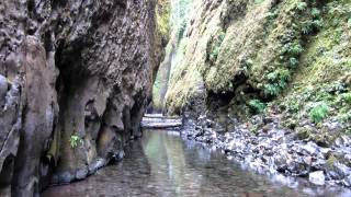 preview picture of video 'Oneonta Gorge and Falls'