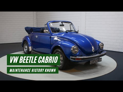 1976 Volkswagen Beetle (CC-1537664) for sale in Waalwijk, Noord Brabant