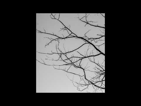 [FREE] post punk, goth, darkwave type beat | "grove"
