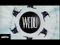 PBS Station ID Gymnastics WEDU TV 1998
