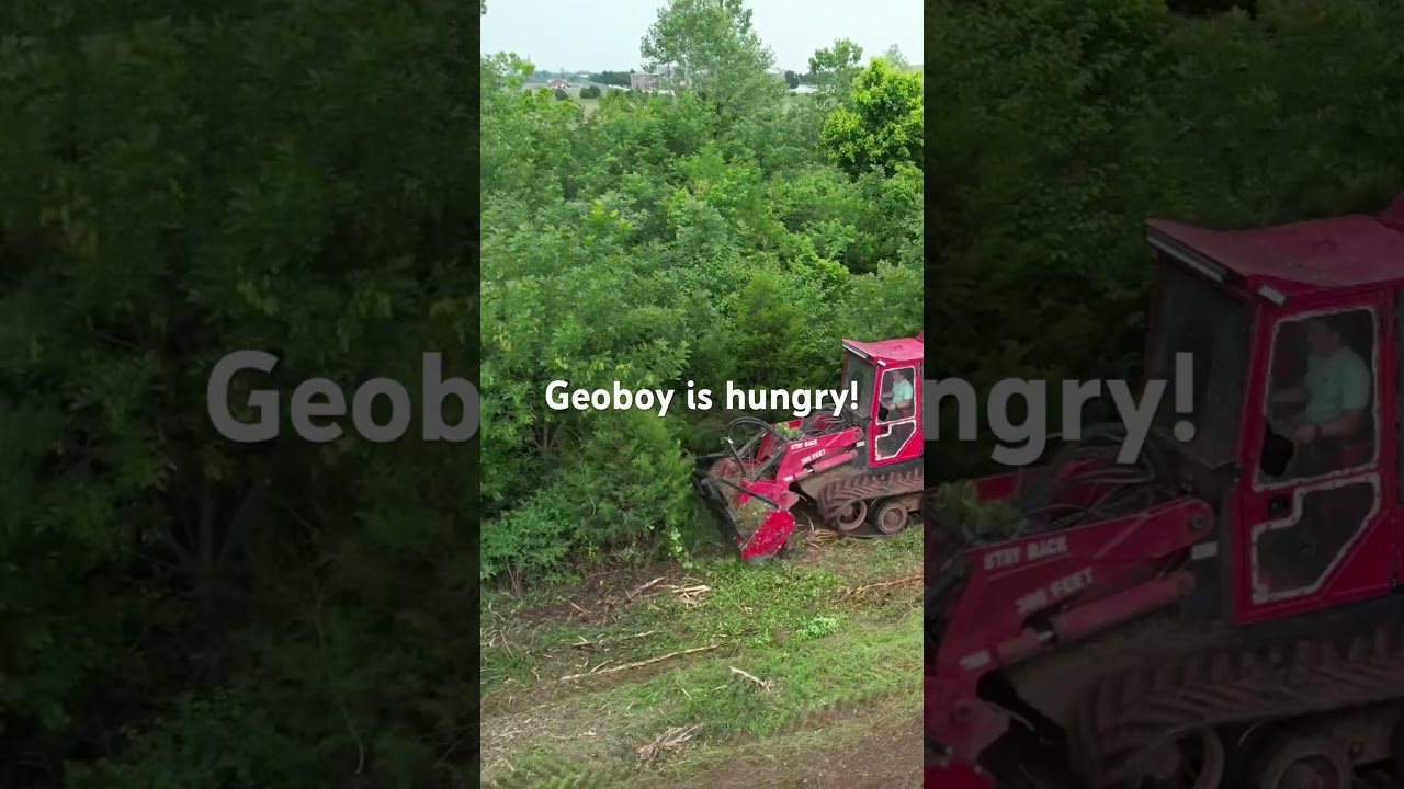 Clearing out these 25 acres of small trees 👀 #landclearing #mulching #forestry #viral #gamechanger