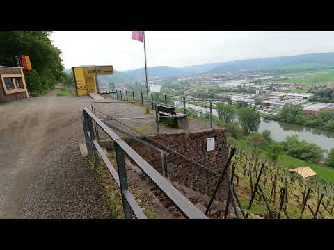 Rotweinwanderweg Erlenbach am Main - Klingenberg