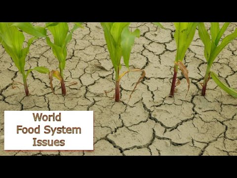 Global Food Crisis: Unspoken Food Systems Issues| Causes, Consequences, and Solutions