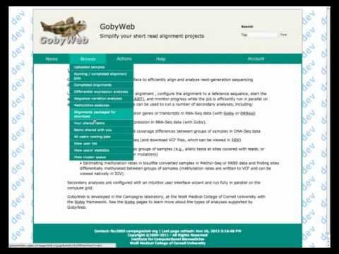 Differential Methylation at base level.mp4