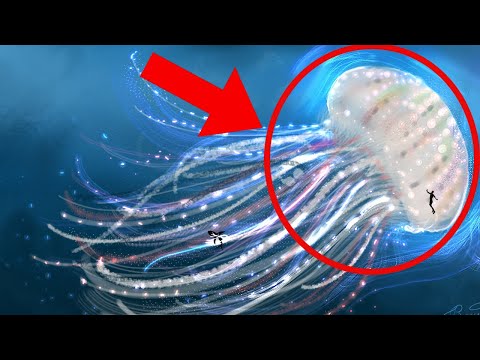 CEA MAI MARE CREATURA MARINA DESCOPERITA VREODATA!