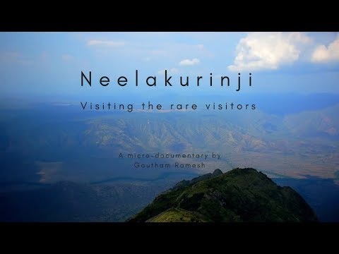 Micro documentary - Neelakurinji