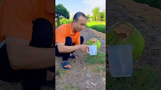 Download lagu Cara Unik Menikmati Air Kelapa mp3