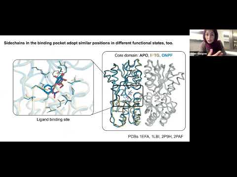 How local changes in secondary structure flexibility can drive protein function