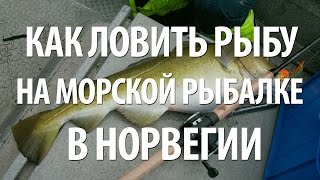 Как одеться для рыбалки на норвежском море в ноябре