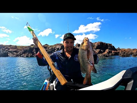 CATCH & COOK WITH OUR HAND MADE SPEAR GUN - Loose Line Industries EP7