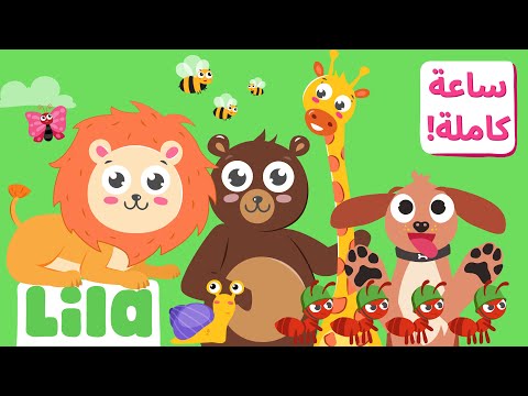 1 Hour of Animal Songs for Kids 🐳 Lila TV