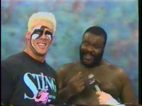 Tony Schiavone Interviews Orndorff, Sting & JYD [1990-06-09]