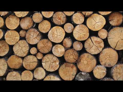 Wood Wallpaper Video