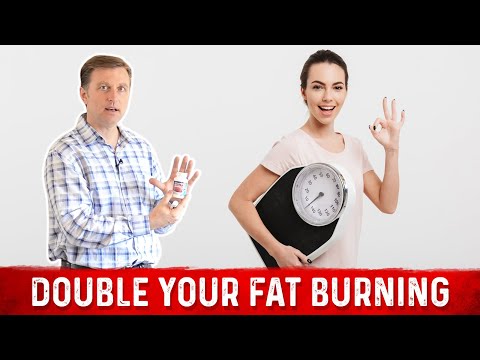 The Ultimate Fat Burning Guide Dr Berg s Webinar on Maximum Weight Loss