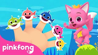 🖐🏼 Finger Family Song Compilation | Baby Sharks Everywhere | Pinkfong Official