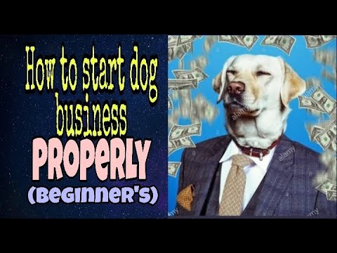 How to start a dog breeding  business (Beginners)