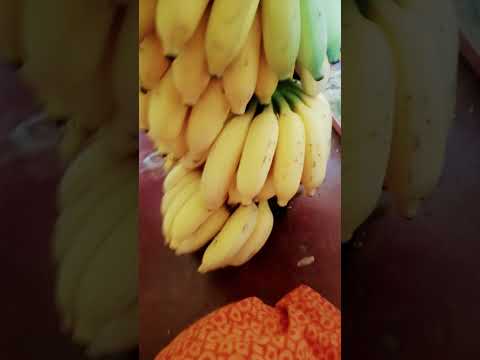 ❤️❤️❤️🙏💚🌳