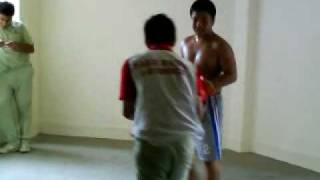 man vs beast pck vs camel