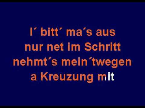 KARAOKE Fiakerlied (aus der DVD die schönsten Wienerlieder zum selber Singen)