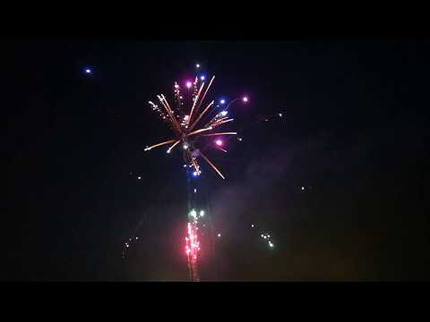 Cakebox 16Sh 30mm - "Blinkweiden-Dahlien" [Batch 2018]