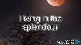 MAGIC IS THE MOONLIGHT Cliff Richard ❤️