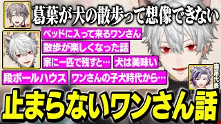 ワンさんエピソードトークが止まらない犬耳葛葉【にじさんじ/切り抜き/葛葉/不破湊/甲斐田晴】