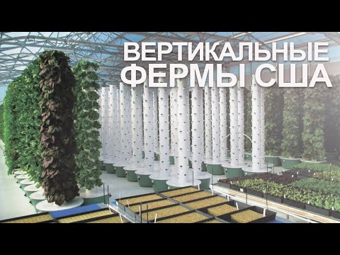 Гидропоника #здоровоепитание #здоровыйобразжизни #бизнесидеи