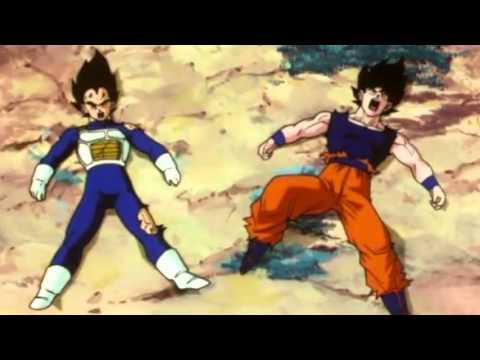 TFS - Vegeta and Goku get hit in the D***!