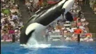 Beat Boxing Blake Lewis