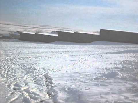 Toloaca belcesti iarna