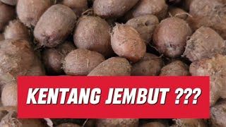 Download lagu Kentang Jembut ??? Ha...Serius?? mp3