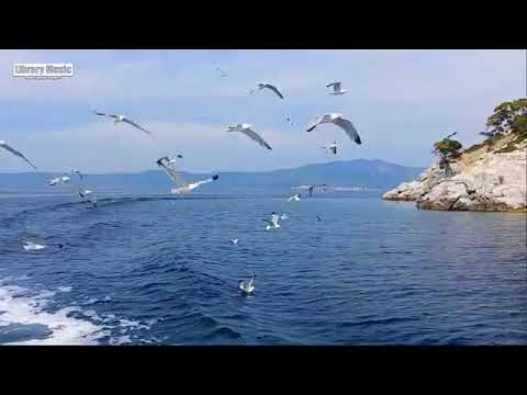 Las 100 melodias orquestadas mas bellas de todos los tiempos   Melodias instrumentales del recuerdo