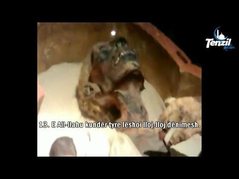 [EMOCIONALE] Sureja Fexhr - Yasir El Dusari ᴴᴰ