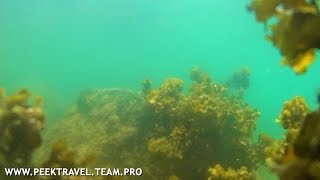 preview picture of video 'Under Water Shots at Snake Island in Subic'