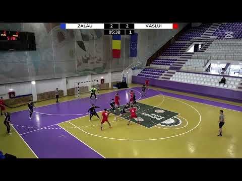 CN J1 2024-25 - 20250330 HC Dinamyc Zalau   LPS Vaslui 1080p J1