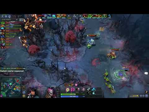 ▶️Newbee.Sccc kills 剑来！!  Sccc playing Pugna LGD.Forever Young vs Newbee at The International 2017 T