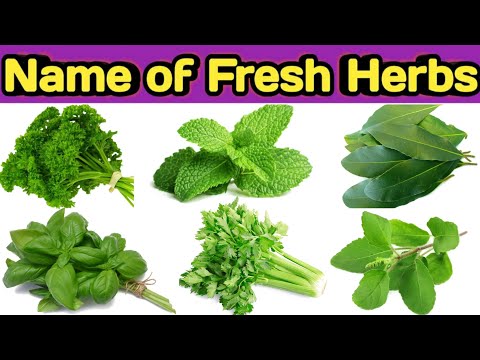 download lagu mp3 mp4 Continental Herbs Name, download lagu Continental Herbs Name gratis, unduh video klip Continental Herbs Name