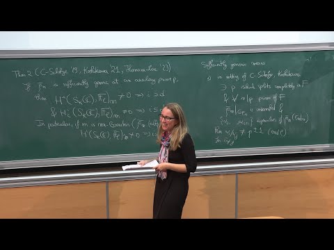 Ana Caraiani - On the cohomology of Shimura varieties with torsion coefficients