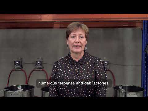 Understanding Wine Bacteria