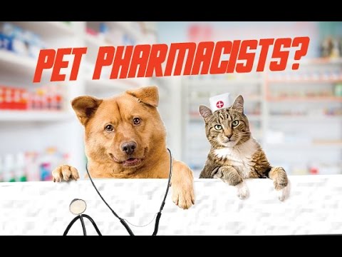 Pet Pharmacists and How Human Drugs Can Harm Your Pets