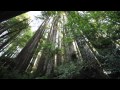 eScapes TV - Klamath National Forest - featuring Russ Freeman and the Rippingtons' "Hideaway"