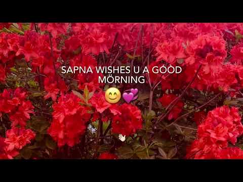 SAPNA WISHES U GOOD MORNING