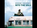 Into The Wild - Eddie Vedder | Chill Mix ( Full Album)